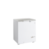 TEFCOLD Diepvrieskist FR205S SL