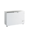 TEFCOLD Diepvrieskist FR405S SL