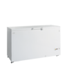 TEFCOLD Diepvrieskist FR505 SL