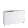 TEFCOLD Diepvrieskist FR505S SL