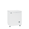 TEFCOLD Medische vriezer SE10-45