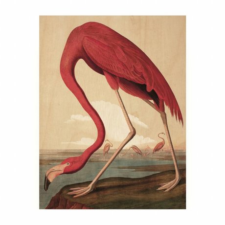 KEK Amsterdam Houten paneel  Flamingo S 45x60cm
