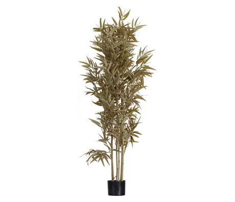 WOOOD Artificial Plant Bamboo Natural 84x84x150cm