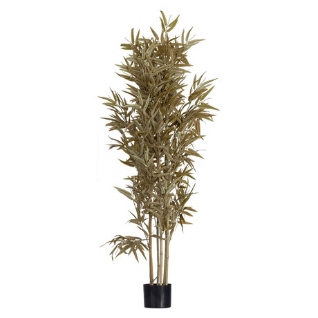 WOOOD Artificial Plant Bamboo Natural 84x84x150cm