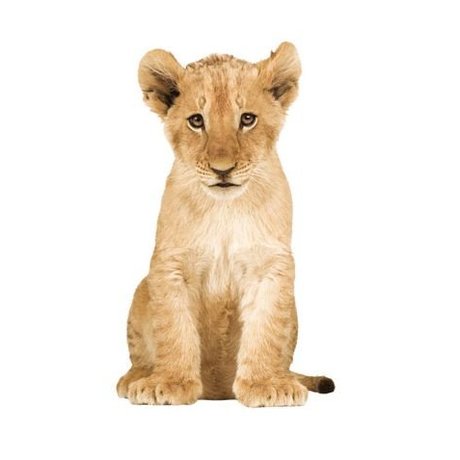KEK Amsterdam Muursticker XL leeuw vinyl bruin 70x115cm, Safari Friends Lion cub XL