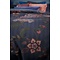 PIP Studio PIP STUDIO - Dekbedovertrekset Buenas Noches Donkerblauw