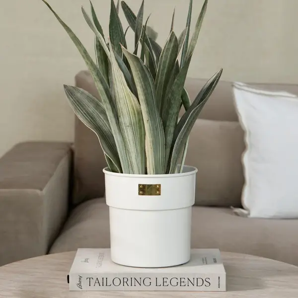RIVIÈRA MAISON RIVIÈRA MAISON - City Loft Flower Pot white S - 573780