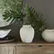 RIVIÈRA MAISON RIVIÈRA MAISON - Bergerac Vase S - 558410