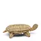 RIVIÈRA MAISON RIVIÈRA MAISON - Rustic Rattan Turtle Storage Basket - 574730