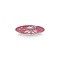 PIP Studio PIP-Studio - Plate Flower Festival Dark Pink 17cm - 51.001.294