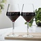 RIVIÈRA MAISON RIVIÈRA MAISON  - RM Red Wine Glass 2 pcs  - 457980