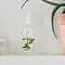 RIVIÈRA MAISON RIVIÈRA MAISON - Eau de la Maison Bottle - 265560