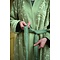 PIP Studio PIP-Studio - Jasmin Jacquard Bathrobe - Green
