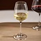 RIVIÈRA MAISON RIVIÈRA MAISON - Taste of RM White Wine Glass - 587510