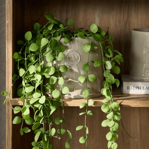 RIVIÈRA MAISON RIVIÈRA MAISON - Portofino Planter L - 586030