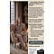 MOSCOW Pull Col Zippé Femme Moscow Kimmy Light Taupe | BARBARA - Clothing & Lifestyle