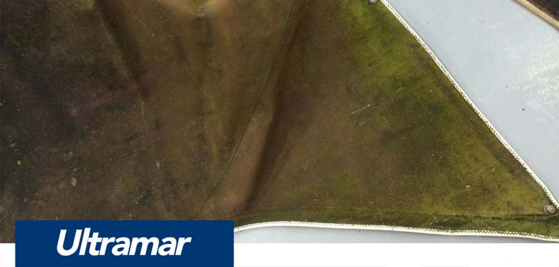 Groene aanslag verwijderen van buiskap