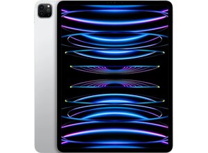 Apple iPad Pro (2022) 12.9" 6th Gen. 256GB M2 Wifi Only Zilver