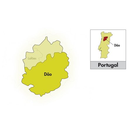 Casa da Passarella Dão A Descoberta Branco 2025