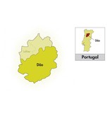 Casa da Passarella Dão O Abanico Reserva 2021