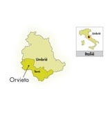 2018 Cantina Cardèto Orvieto Classico Città