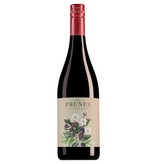 Prunus Dão Tinto 2023