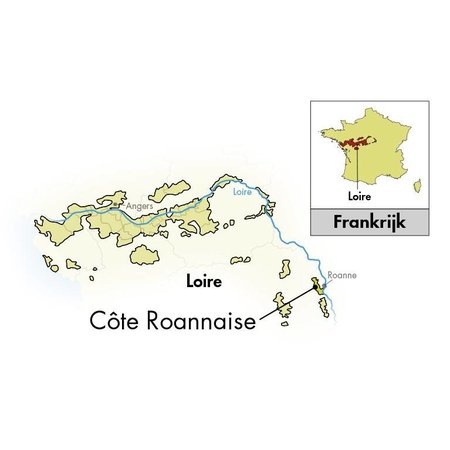 Domaine Sérol Côte Roannaise Eclat de Granite 2019