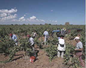 Apulia