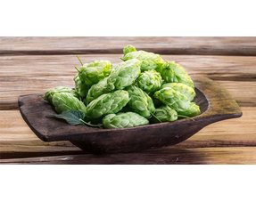 IPA
