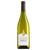 Vignerons de la Colline Éternelle Vézelay Bourgogne Chardonnay 2021