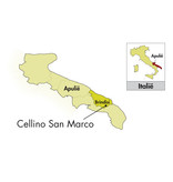 Cantine Due Palme Cantine Due Palme Salento Serre Susumaniello 2021