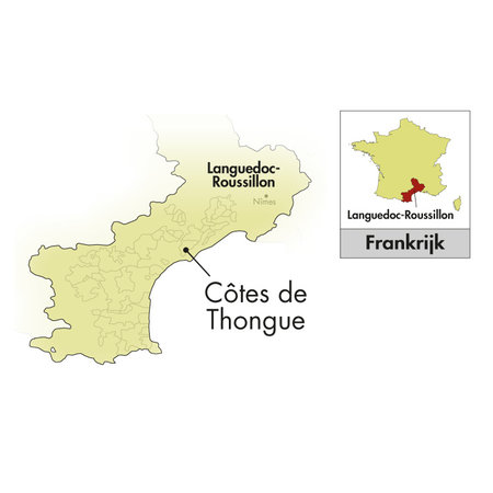 L'Arjolle Côtes de Thongue rot 2025