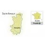 Jean-Paul Brun Terres Dorées Saint-Amour 2024