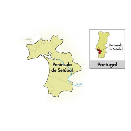 Ficada Península de Setúbal Rosé 2025