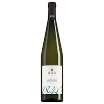 H. Lun Südtiroler Sauvignon Blanc