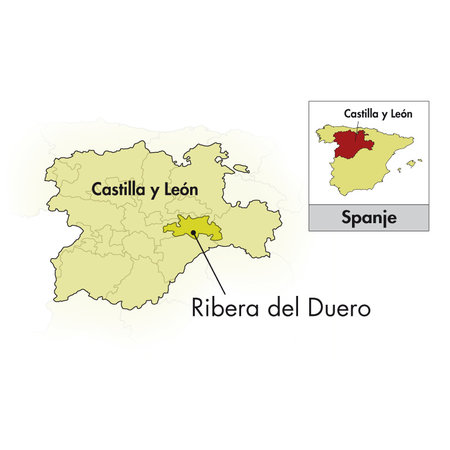 Bodegas Antidoto Ribera del Duero 2025
