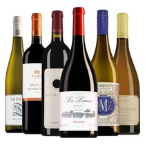 Wine package Master of Wine 2021