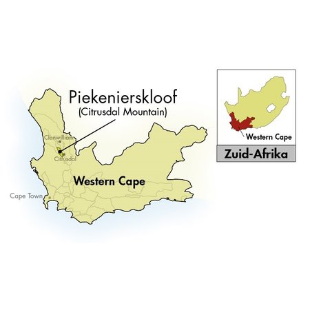 New Trek Pinotage Western Cape 2022