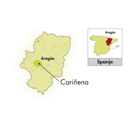 Finca Aylés Cariñena Trasmontes Garnacha 2024