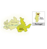 Luis Seabra Douro Xisto Cru Tinto 2022