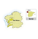 Coral do Mar Rías Baixas Albariño 2025