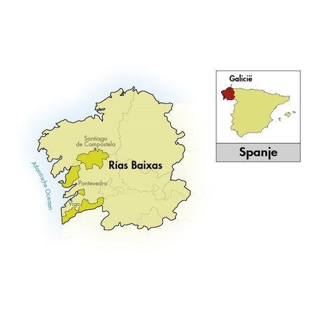 Coral do Mar Rías Baixas Albariño 2025