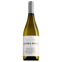 Marc & Thomas Wein aus Spanien LLoma Bona Viognier