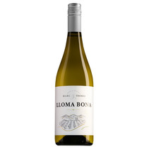 Marc & Thomas Wein aus Spanien LLoma Bona Viognier
