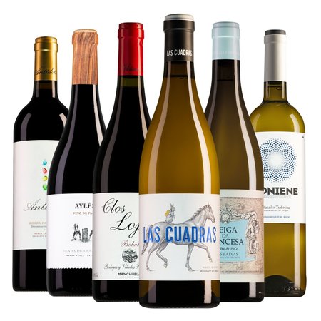Wine Package Spanish Wines