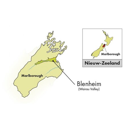 Small Family Marlborough Sauvignon Blanc 2024