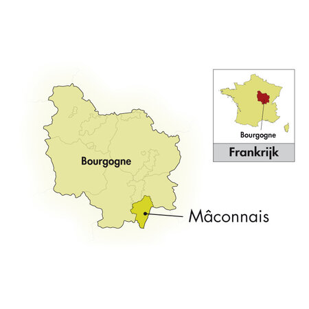 Cave des Grands Crus Blancs Mâcon-Loché halbe Flasche 2022