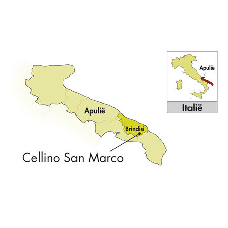 Cantine Due Palme Salento Domiziano Collezione Privata Vermentino 2022