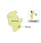 Cazas Novas Vinho Verde Colheita Avesso 2024