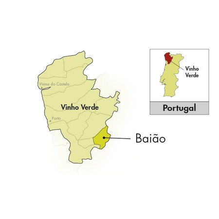 Cazas Novas Vinho Verde Colheita Avesso 2024